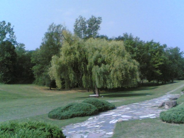 27062008(004).jpg, 344 KB