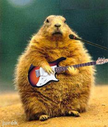 gitara.jpg, 55 KB